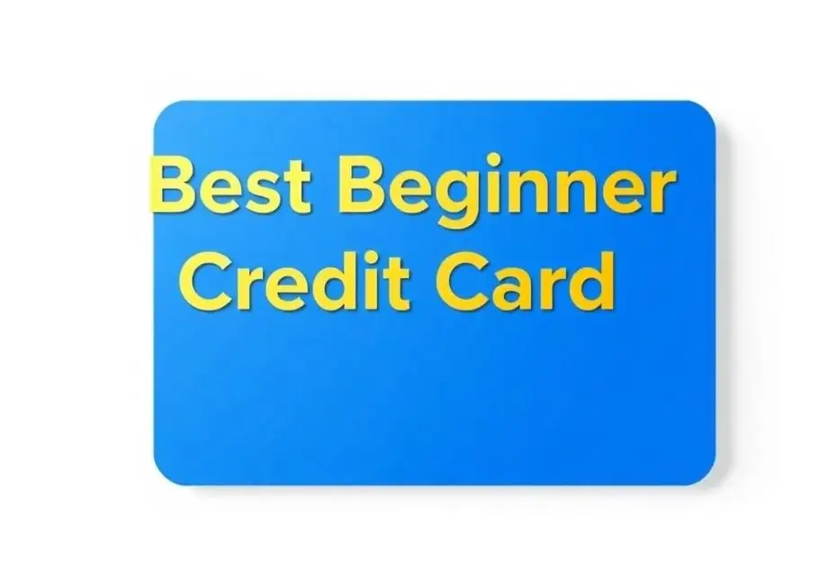 Top Beginner Credit Cards for 2025: Start Building Credit with the Best Options